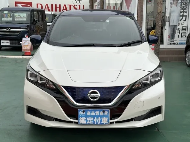 リーフ(ニッサン)X Vセレクション中古車 24