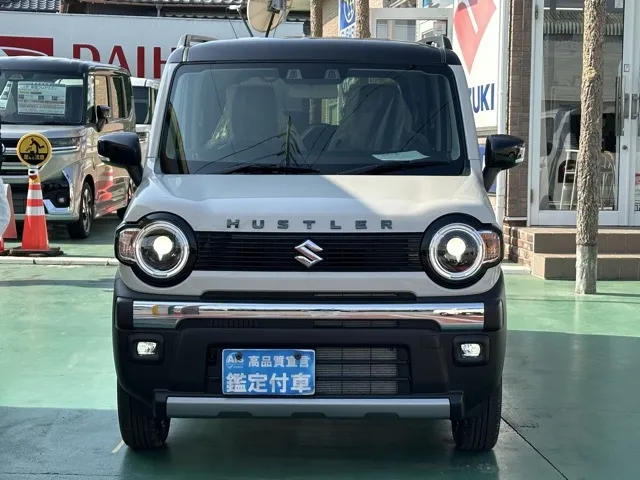 ハスラー(スズキ)タフワイルドターボ届出済未使用車 23