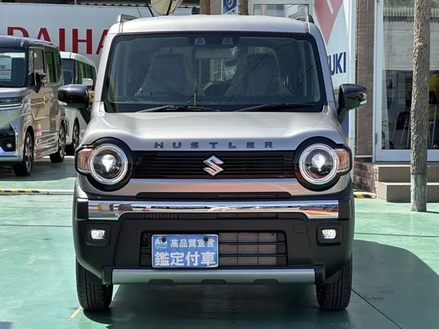 ハスラー(スズキ)タフワイルドターボ届出済未使用車 21