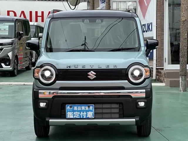ハスラー(スズキ)タフワイルドターボ届出済未使用車 21