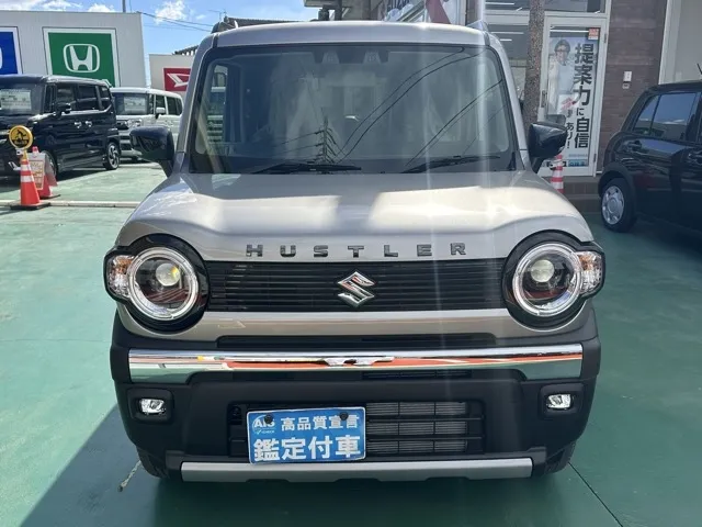 ハスラー(スズキ)タフワイルド届出済未使用車 20