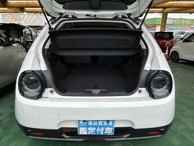 HONDAe(ホンダ)アドバンス中古車 9