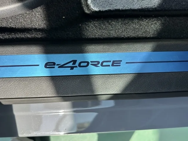 アリア(ニッサン)B6 e-4ORCE登録済未使用車 14