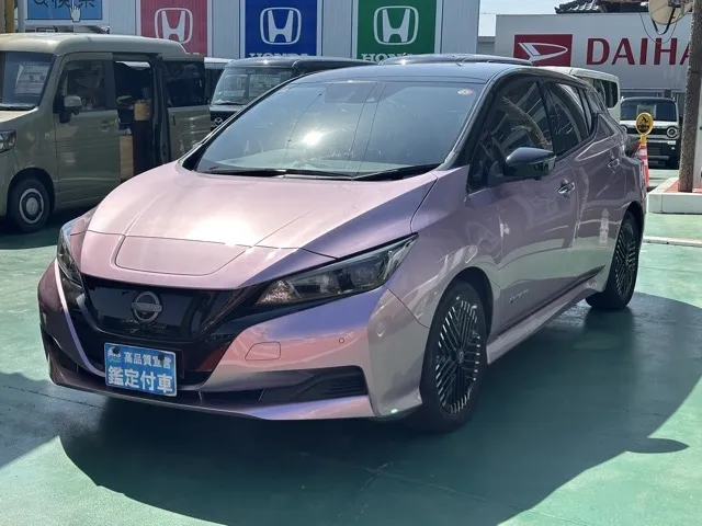 リーフ(ニッサン)X Vセレクション中古車 1