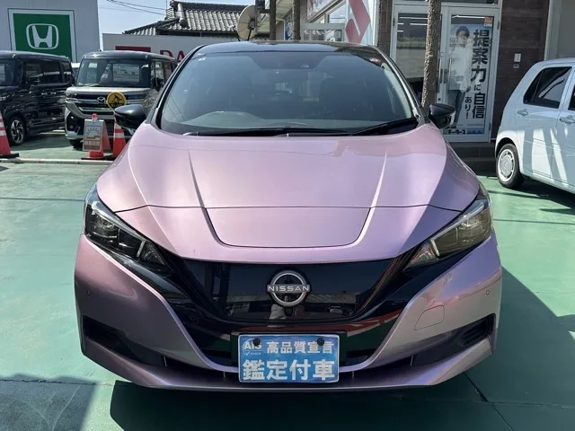 リーフ(ニッサン)X Vセレクション中古車 29
