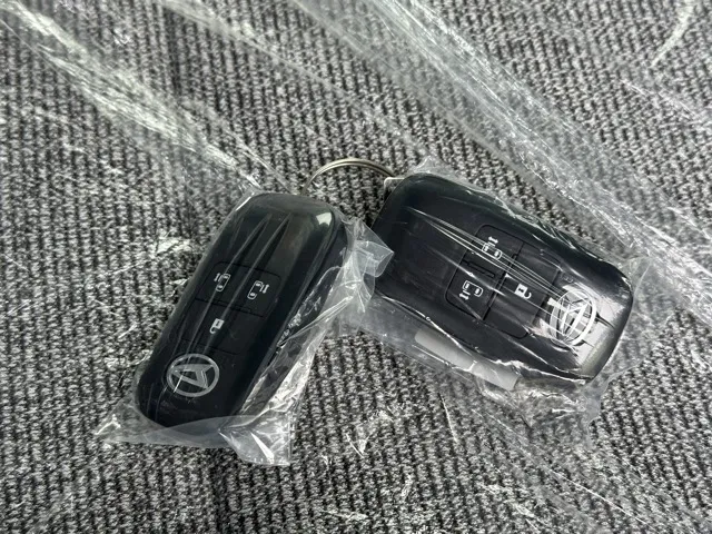 キャンバス(ダイハツ)ストライプスG パノラマUGP届出済未使用車 13