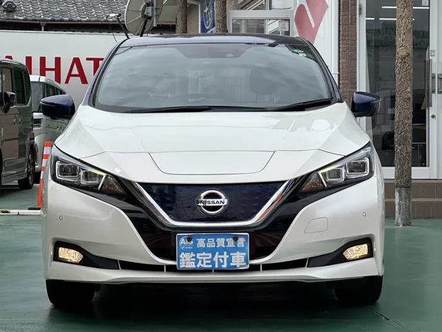 リーフ(ニッサン)G中古車 29