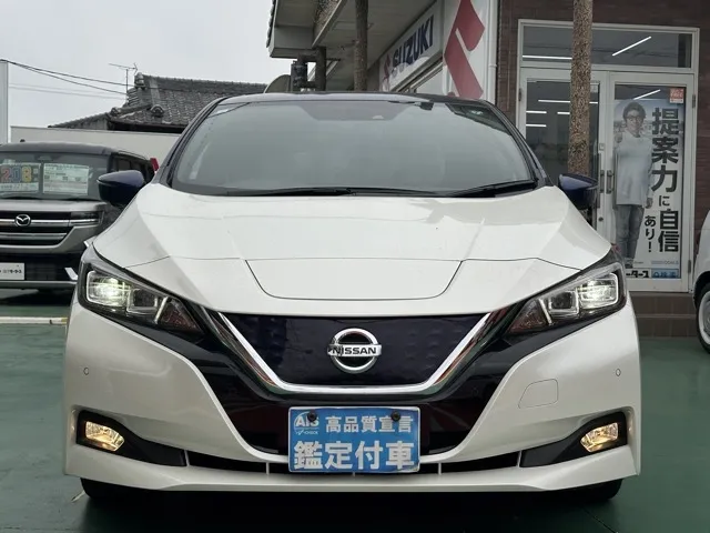 リーフ(ニッサン)G中古車 29