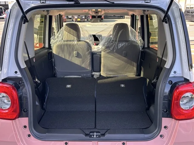 キャンバス(ダイハツ)ストライプスG 純正ドアバイザー届出済未使用車 10