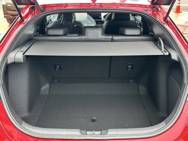 シビック(ホンダ)RS 6MT登録済未使用車 9