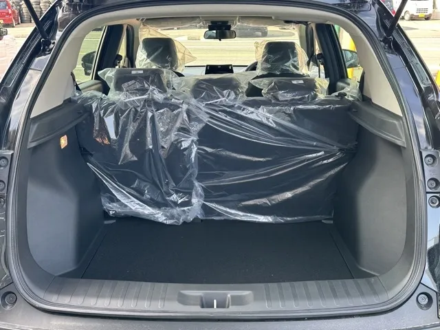 WR-V(ホンダ)X登録済未使用車 9