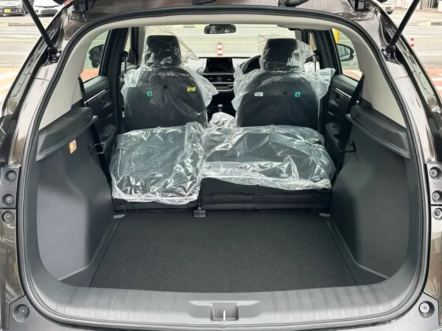 WR-V(ホンダ)X登録済未使用車 10