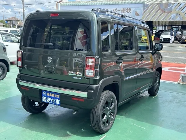 ハスラー(スズキ)タフワイルドターボ届出済未使用車 10