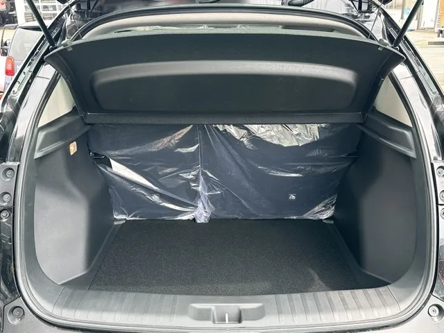 WR-V(ホンダ)Z登録済未使用車 9