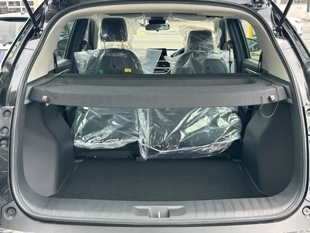 WR-V(ホンダ)Z登録済未使用車 10