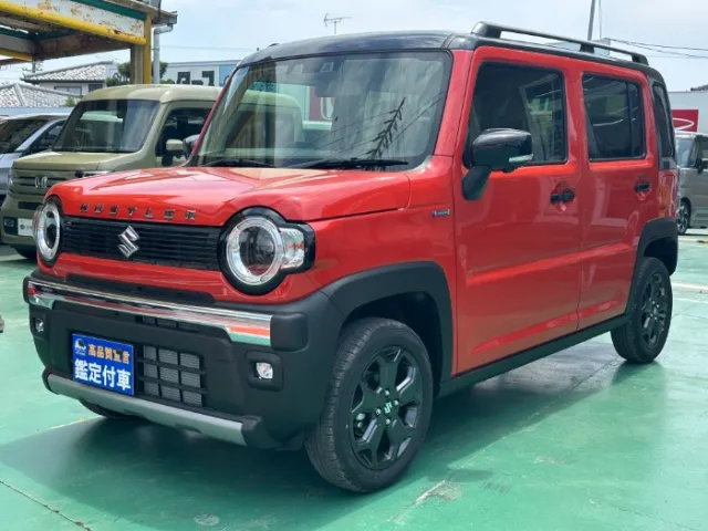 ハスラー(スズキ)タフワイルド 全方位ナビ届出済未使用車 1
