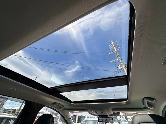 アリア(ニッサン)B6中古車 7
