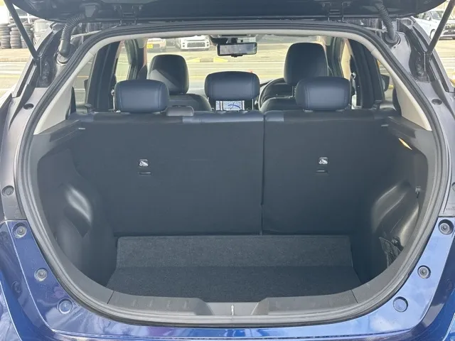 リーフ(ニッサン)オーテック中古車 10