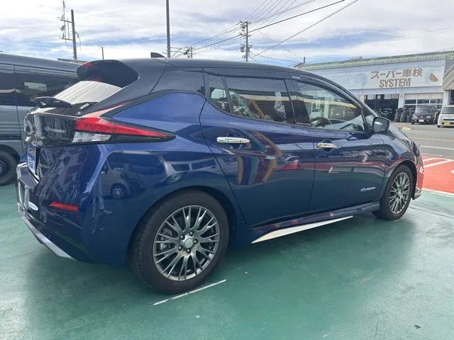 リーフ(ニッサン)オーテック中古車 12