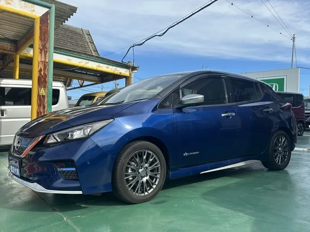 リーフ(ニッサン)オーテック中古車 1