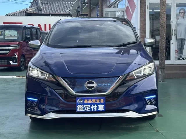 リーフ(ニッサン)オーテック中古車 29