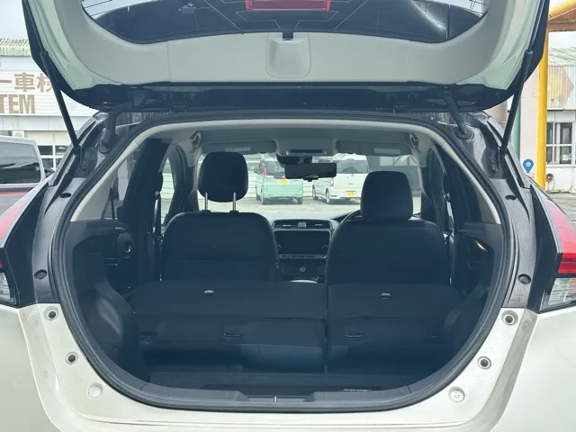 リーフ(ニッサン)オーテック中古車 10