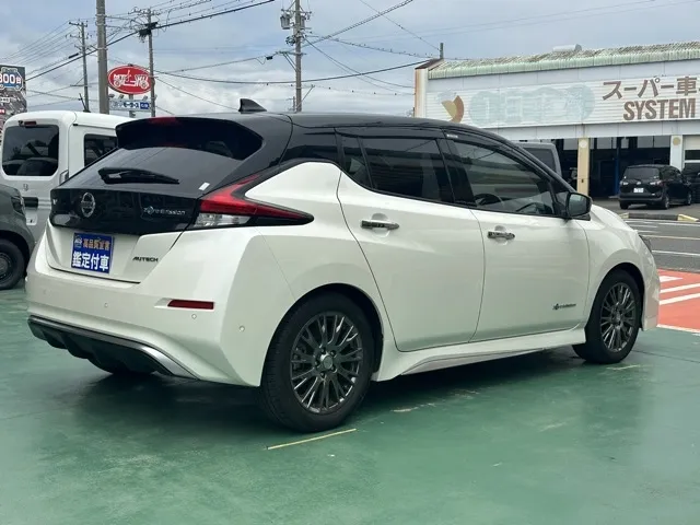 リーフ(ニッサン)オーテック中古車 11