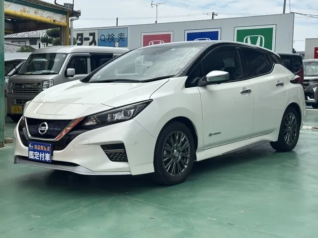 リーフ(ニッサン)オーテック中古車 1