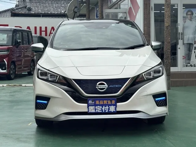 リーフ(ニッサン)オーテック中古車 29