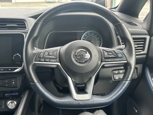 リーフ(ニッサン)オーテック中古車 6