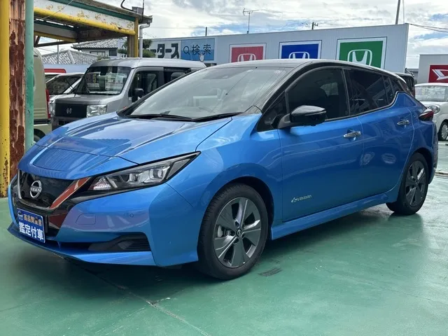 リーフ(ニッサン)アーバンクロム中古車 1