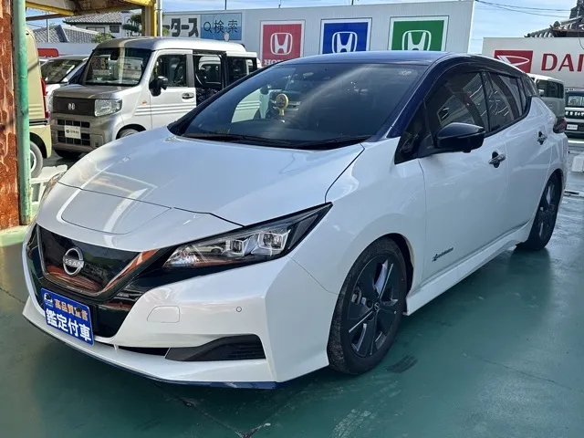 リーフ(ニッサン)e+ アーバンクロム中古車 1