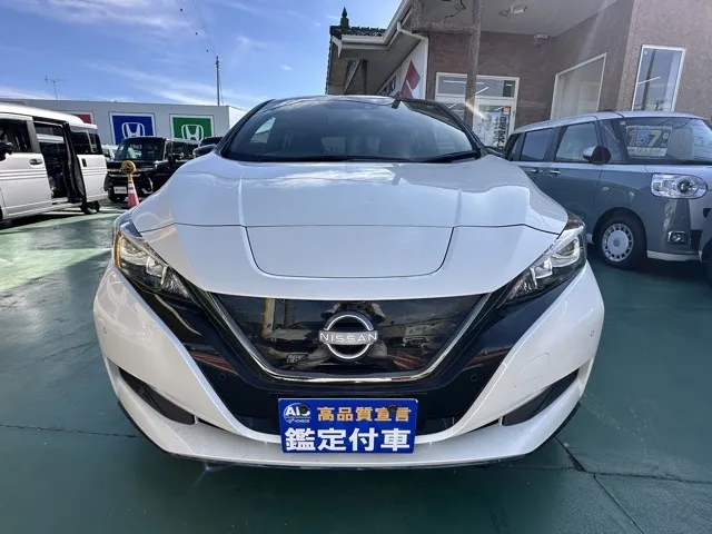 リーフ(ニッサン)e+ アーバンクロム中古車 29