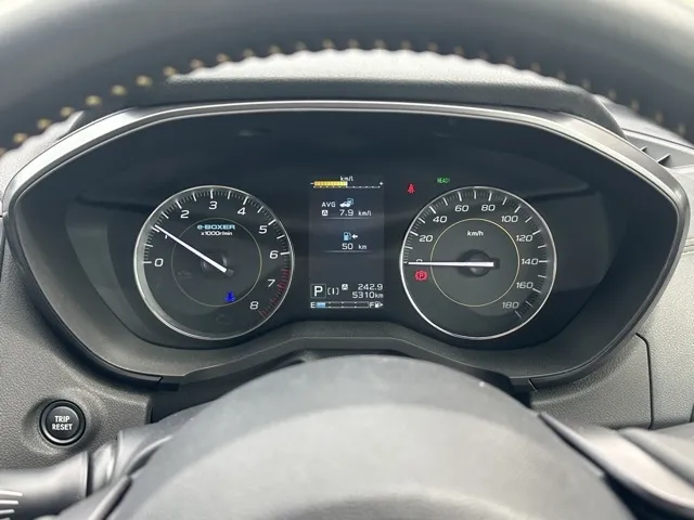 XV(スバル)アドバンス スタイルエディション ルーフレール 4WD中古車 19