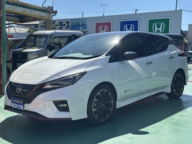 リーフ(ニッサン)ニスモディーラ-試乗車 1