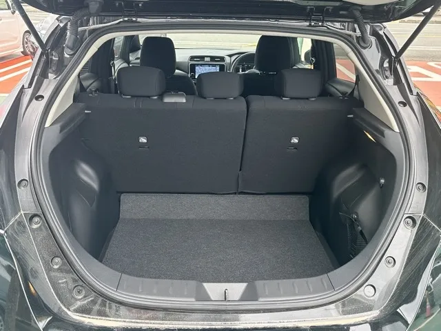 リーフ(ニッサン)ＸレンタＵＰ 10