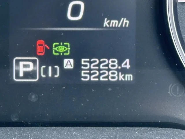 インプレッサ(スバル)ST-G中古車 28