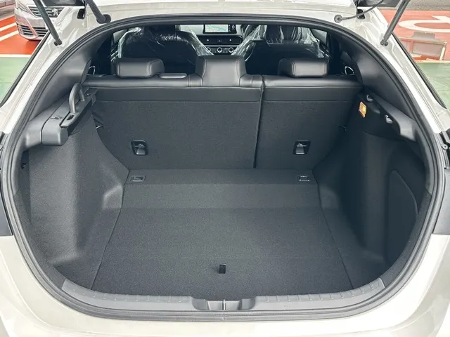 シビック(ホンダ)RS 6MT登録済未使用車 9