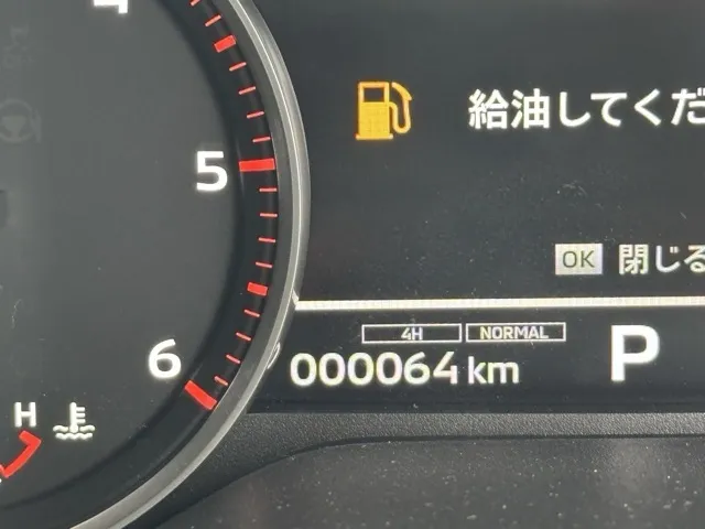 トライトン(三菱)GSR登録済未使用車 27