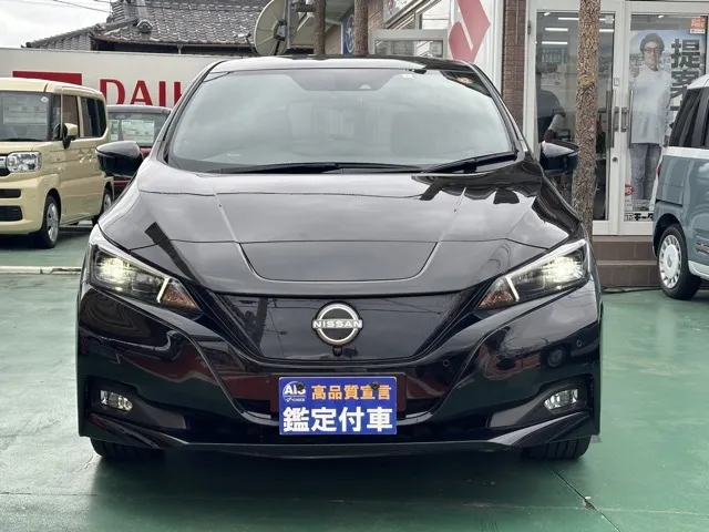 リーフ(ニッサン)X Vセレクション中古車 29