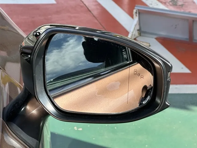 クラウン(トヨタ)G アドバンスド・レザーパッケージ中古車 14