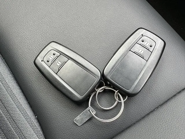 カローラ(トヨタ)ハイブリッドダブルバイビー 50ミリオンED中古車 24