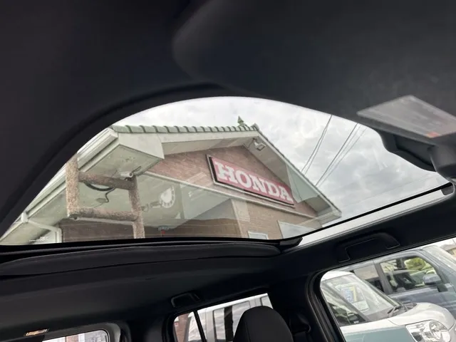 タフト(ダイハツ)G ダーククロムベンチャー届出済未使用車 12