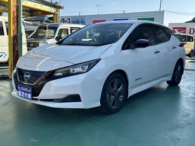 リーフ(ニッサン)アーバンクロム中古車 1