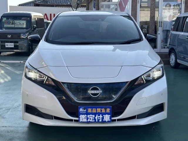 リーフ(ニッサン)アーバンクロム中古車 29