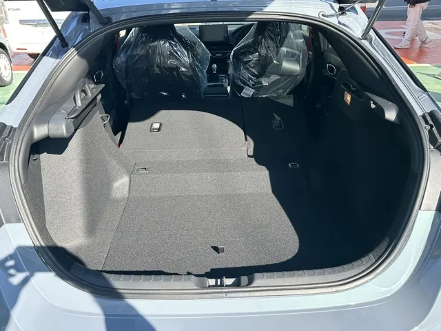 シビック(ホンダ)タイプR レーシングブラックPKG登録済未使用車 9