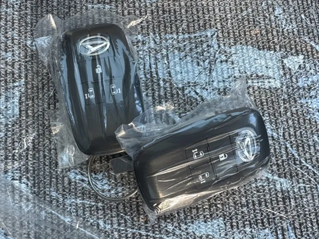 キャンバス(ダイハツ)ストライプスG パノラマUGP届出済未使用車 23