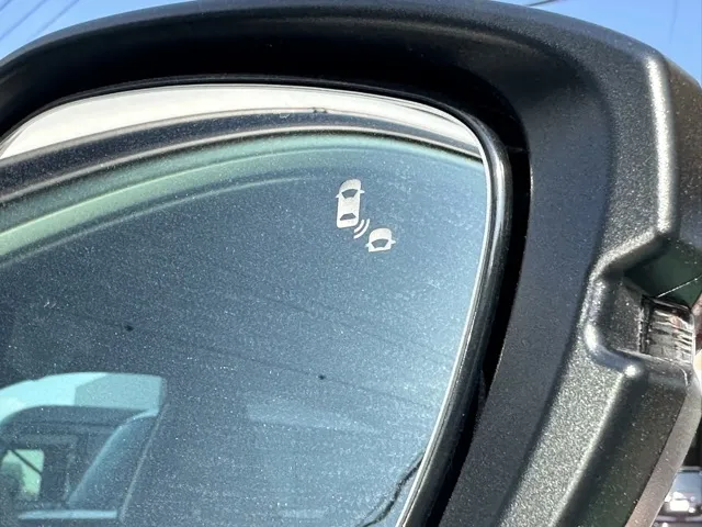 シビック(ホンダ)タイプR レーシングブラックPKG登録済未使用車 13