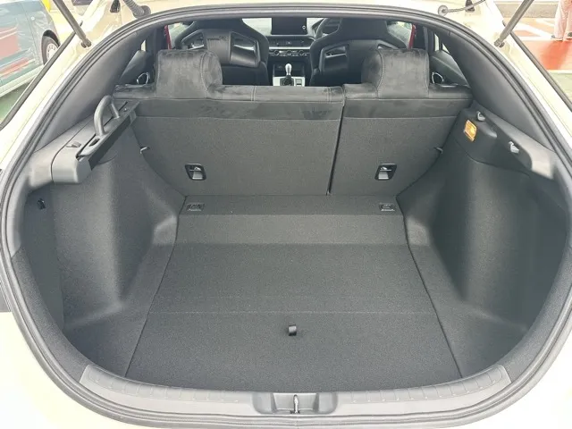 シビック(ホンダ)タイプR レーシングブラックPKG登録済未使用車 8