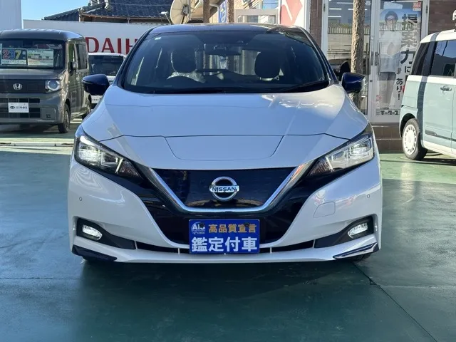 リーフ(ニッサン)Ｘ中古車 29
